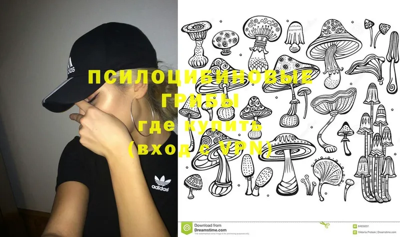 блэк спрут ТОР  Севастополь  Галлюциногенные грибы Magic Shrooms  как найти закладки 